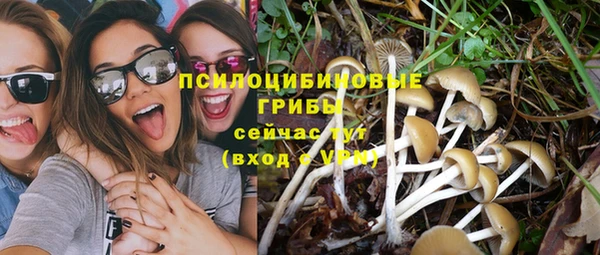 не бодяженный Алзамай