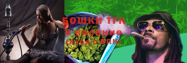 молекула духа Алексеевка