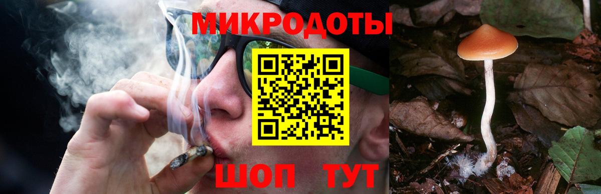 Псилоцибиновые грибы Psilocybe  Вход с VPN  Галлюциногенные грибы Magic Shrooms  Сургут 